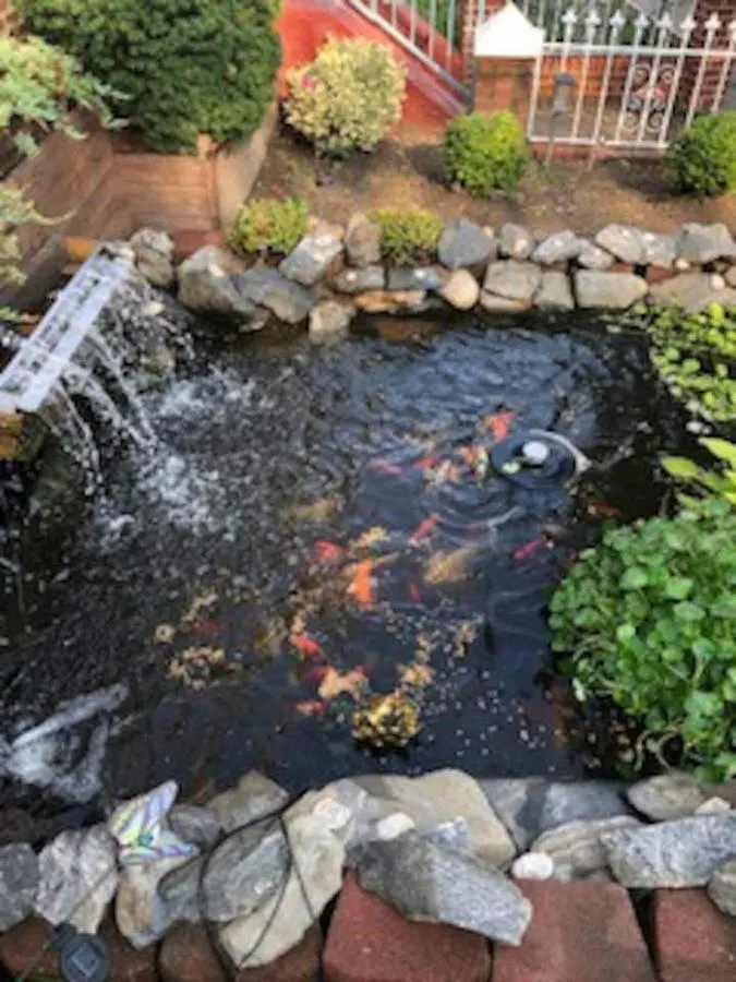 Apartmán Beautiful Brooklyn Koi-Fish Pond-Garden Residence New York
