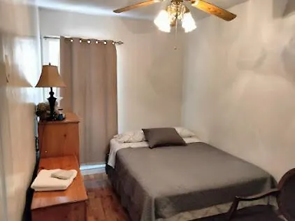 Apartmán Beautiful Brooklyn Koi-Fish Pond-Garden Residence New York USA